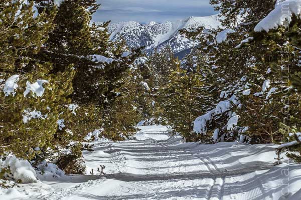 ski nordique Font Romeu