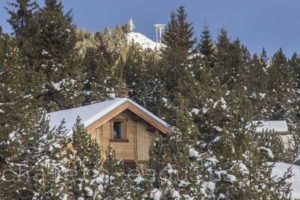chalet Nest pistes de ski