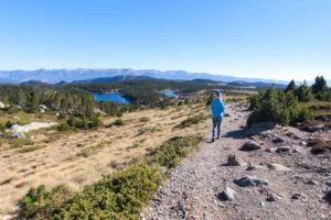 estany de la Comassa