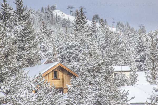 chalet Nest pistes de ski